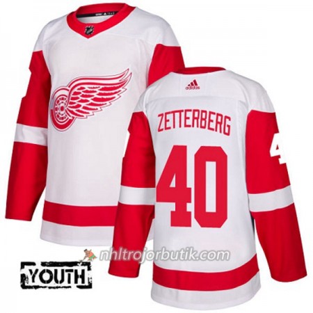 Barn Ishockey Detroit Red Wings Tröja Henrik Zetterberg 40 Adidas 2017-2018 Vit Authentic